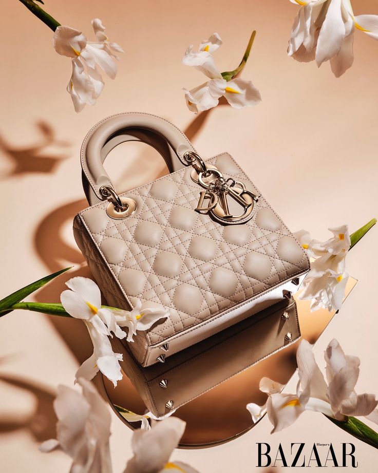 Dior - Lady Bag para la membresía Signature
